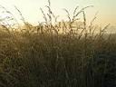 PICT0003.JPG