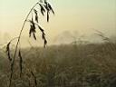 PICT0005.JPG