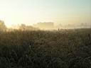 PICT0006.JPG