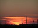 PICT0073.JPG