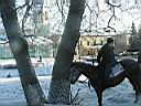 PICT0053.JPG